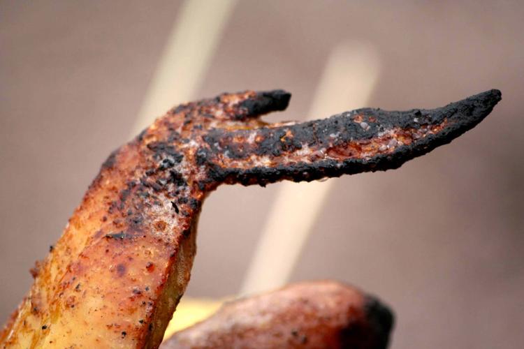 焦糊食物吃多了会致癌吗?