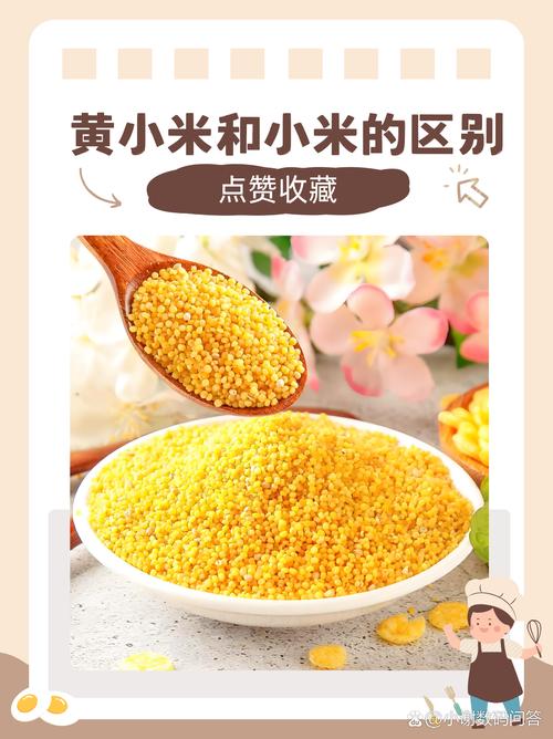 小米是碱性还是酸性食物?