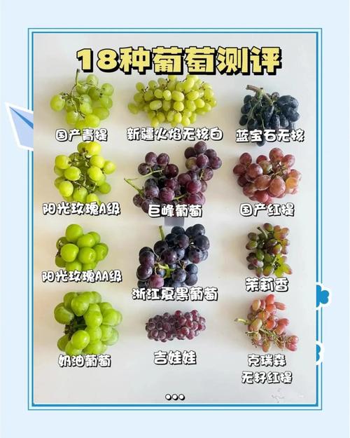 葡萄到底是酸性还是碱性?