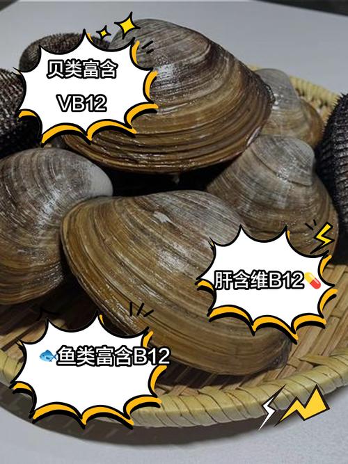 哪些食物富含维生素B12?