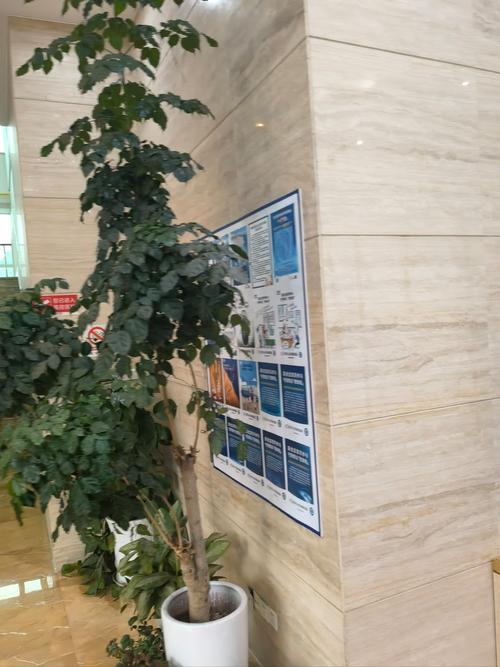 春熙路口腔医院哪家好?