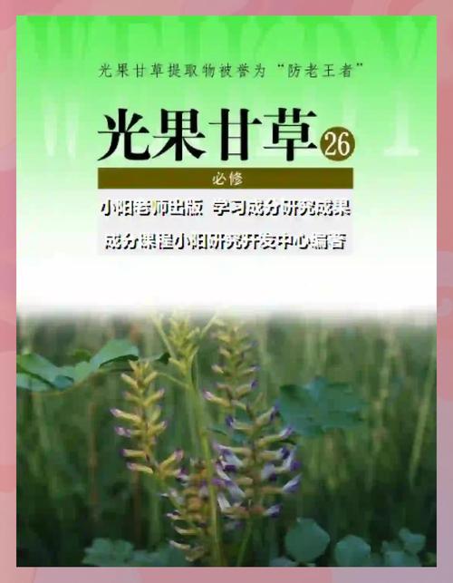 光果甘草如何改善皮肤问题?