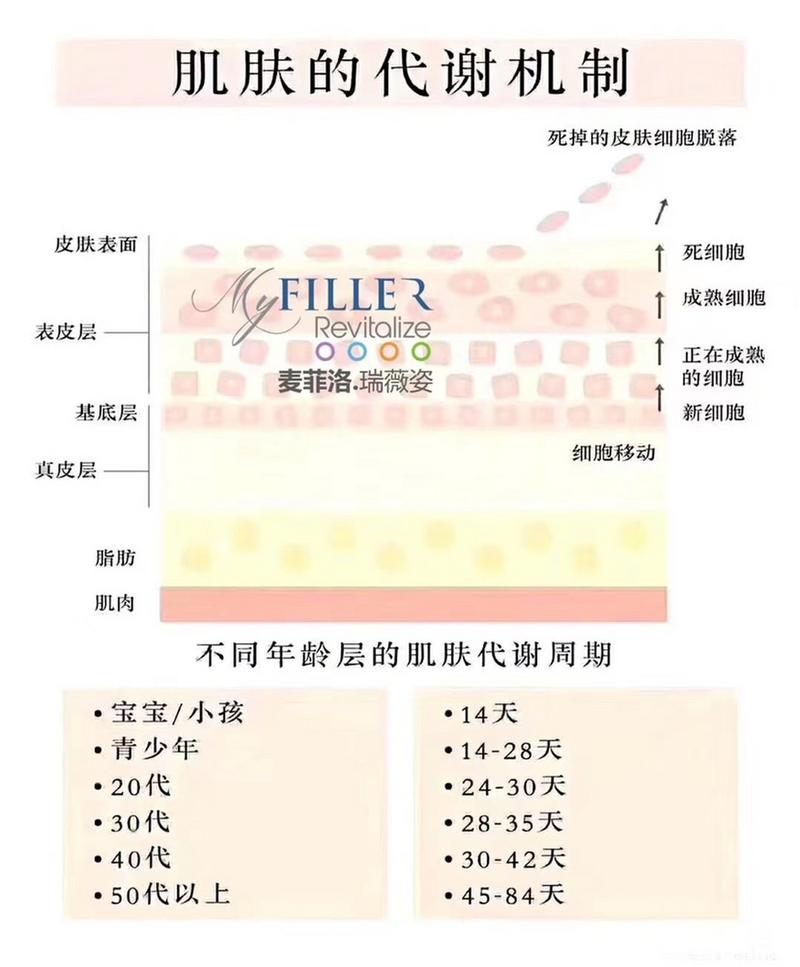 皮肤新陈代谢周期是多久?