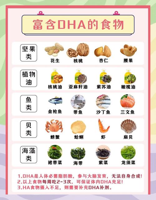什么食物DHA含量最高?