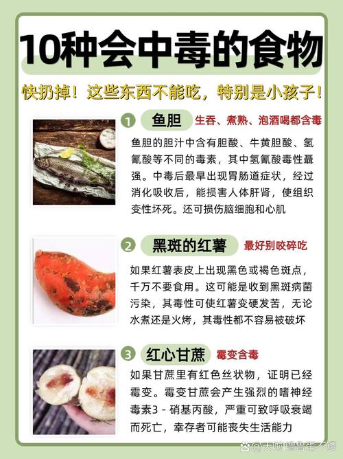 食物中毒后吃什么食物好