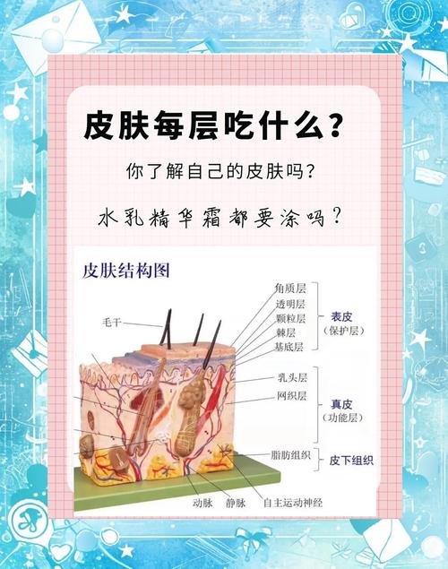 皮肤吸收差,如何打开吸收通道?