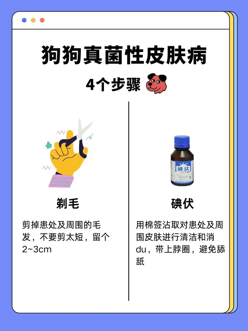 小狗皮肤病怎么治?快看这招!