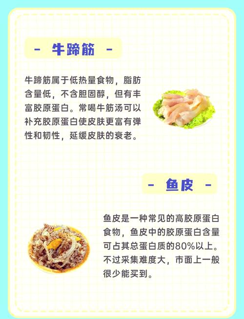 哪些食物胶原蛋白含量高?