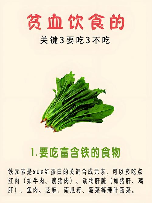 缺铁性贫血吃什么食物好