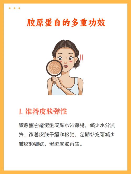 胶原蛋白究竟在皮肤哪一层?