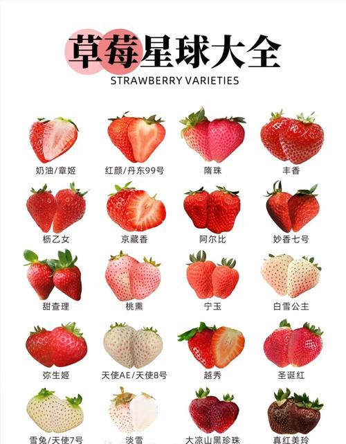 草莓是酸性还是碱性食物