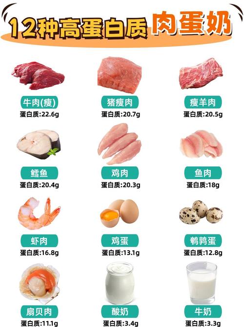 不含蛋白质的食物有哪些?