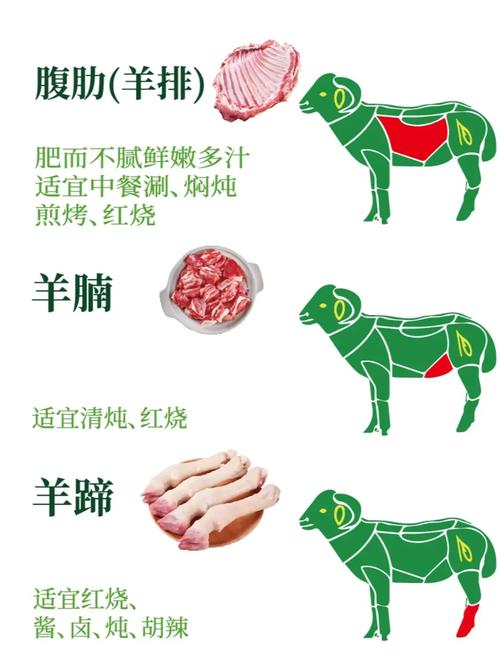 羊肉是酸性还是碱性食物