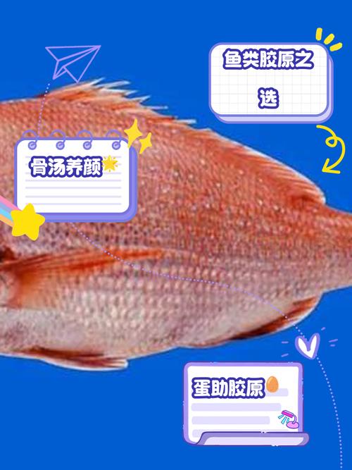 哪些食物胶原蛋白含量高?