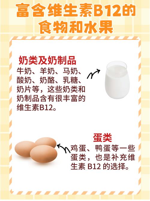 什么食物含维生素b12