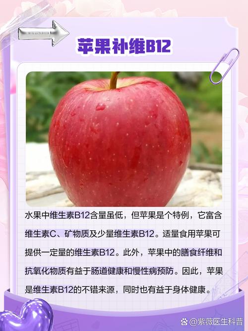 什么食物含维生素b12