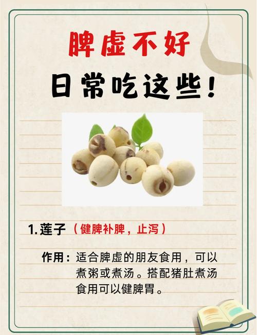 脾胃虚寒吃什么食物调理?