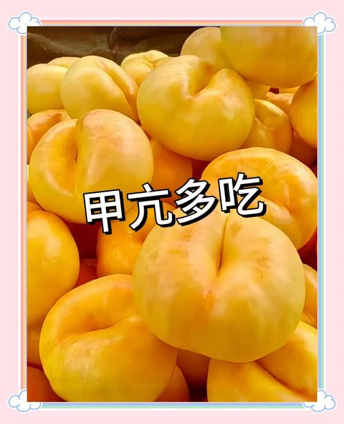 甲亢多吃什么食物比较好