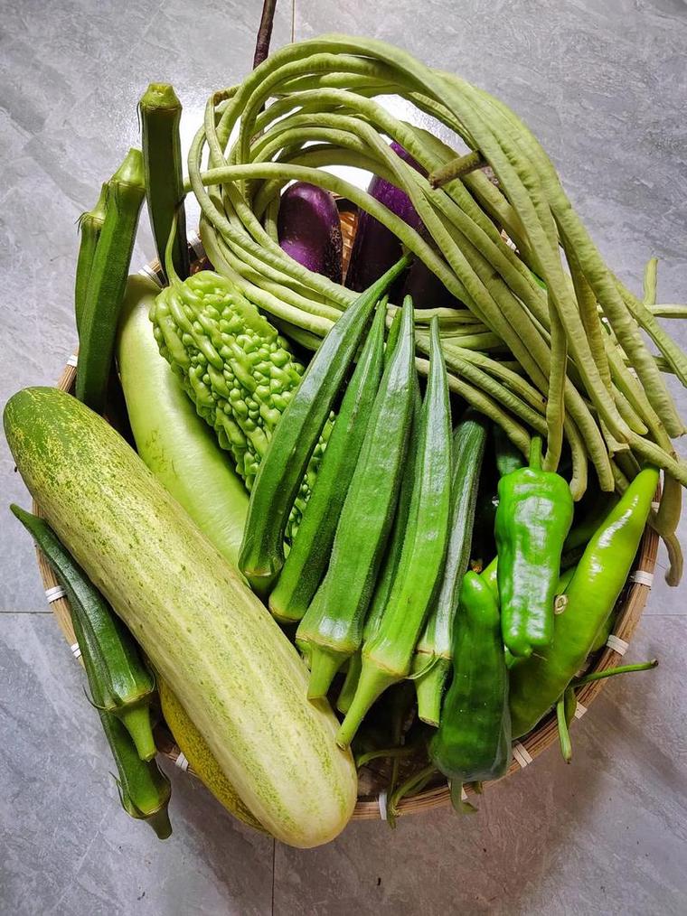 清热解毒蔬菜食物具体有哪些?