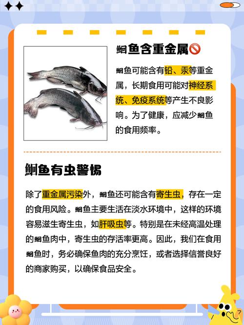 鱼不能和什么食物一起吃