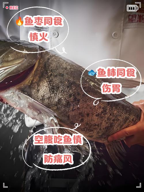 鱼不能和什么食物一起吃