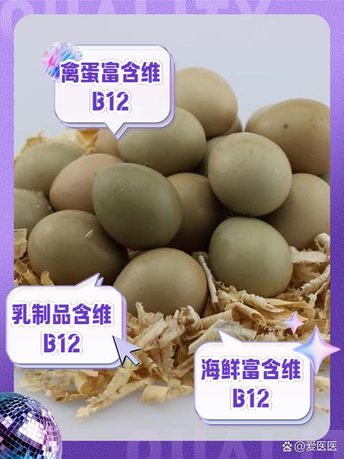 哪些食物富含维生素B12?