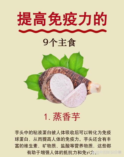 增强免疫力的食物有哪些