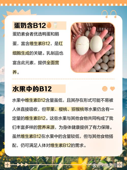 哪些食物水果富含维生素B1?