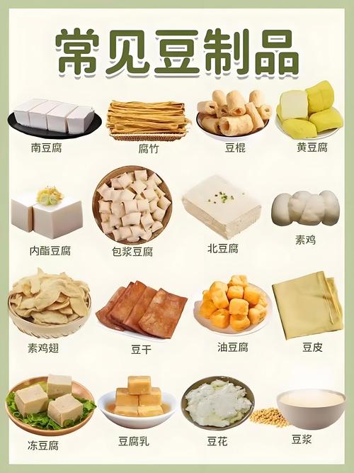 补充蛋白质,哪些食物最有效?