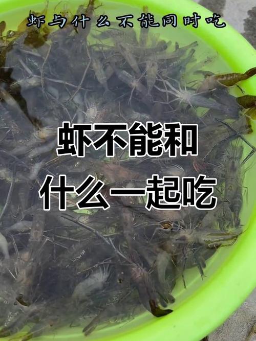 虾和这些食物同吃会中毒?