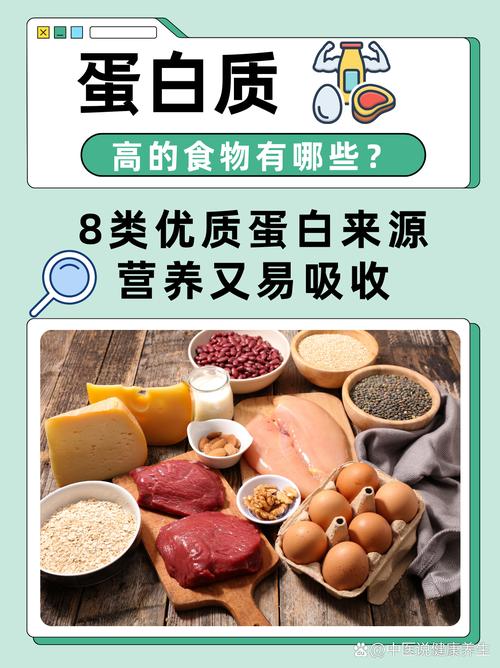 哪些常见食物富含高蛋白?