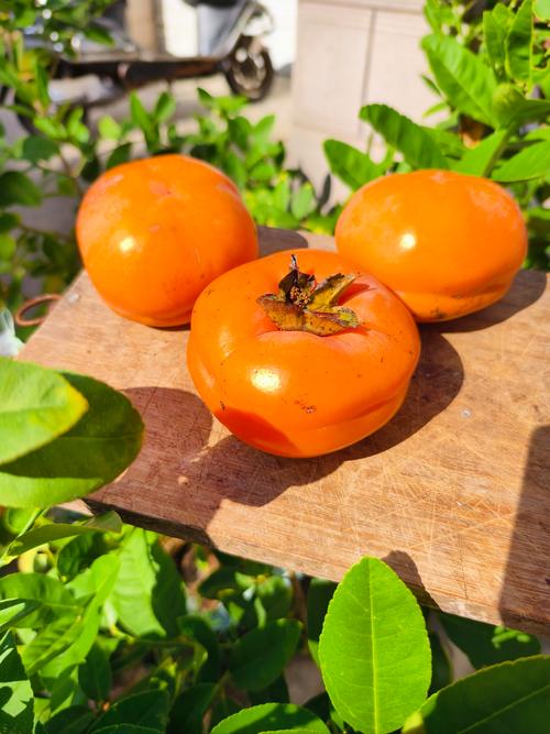 秋季十大最宜吃的食物,究竟该怎么选?