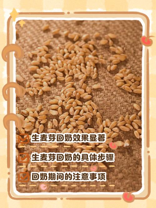 含麦芽糖食物真会回奶吗?