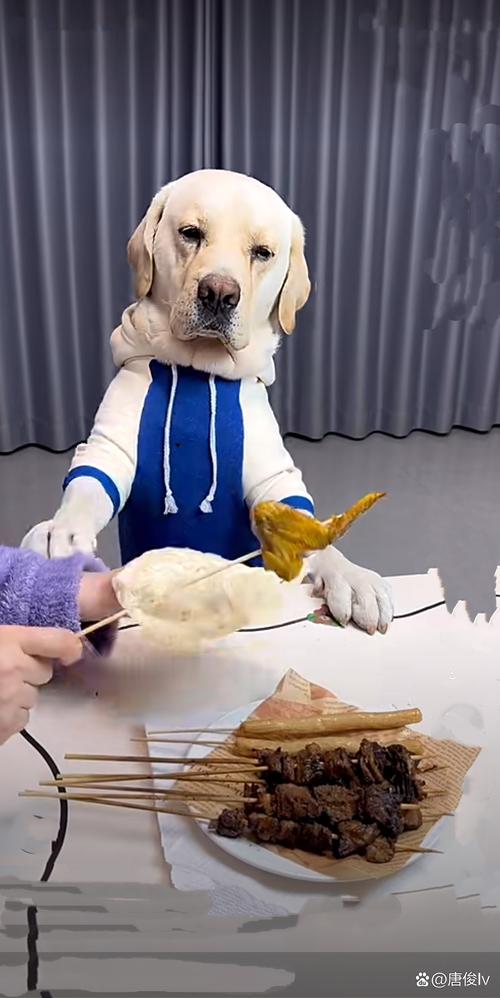 狗吃辣的会怎样?肠胃能受得了吗?