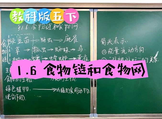 美容师的食物链 中字