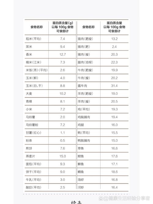 哪些食物富含蛋白质和维生素?