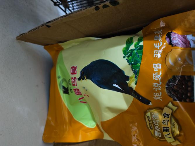 八哥鸟最爱吃什么食物?