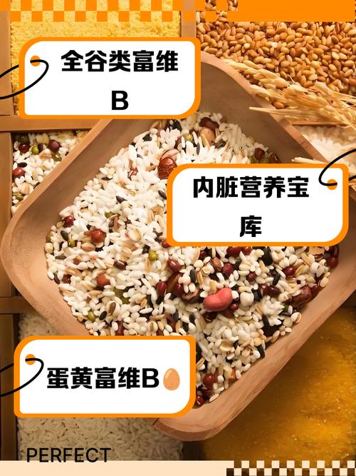 哪些食物富含维生素B3?