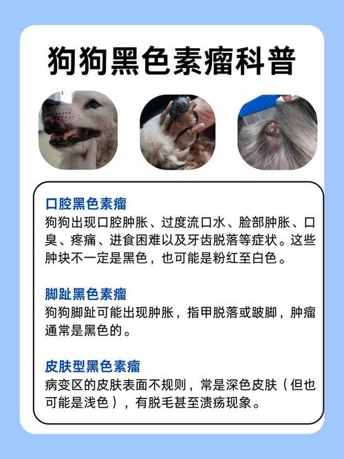 狗皮肤发黑是病还是老了?