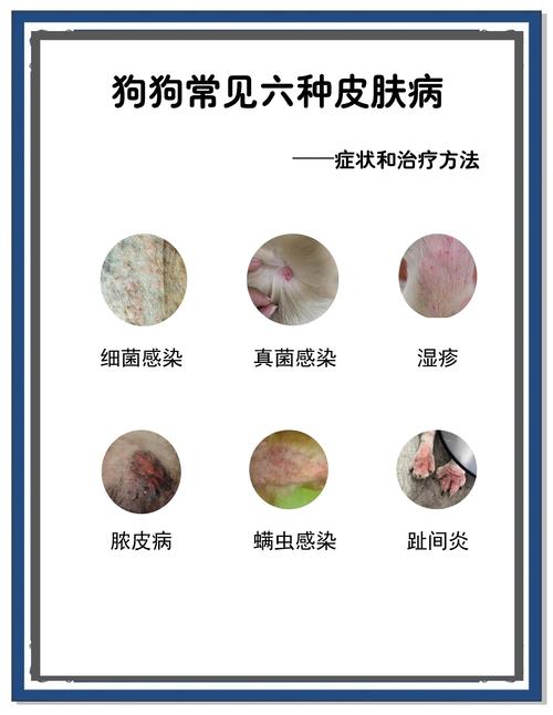 狗皮肤发黑是病还是老了?