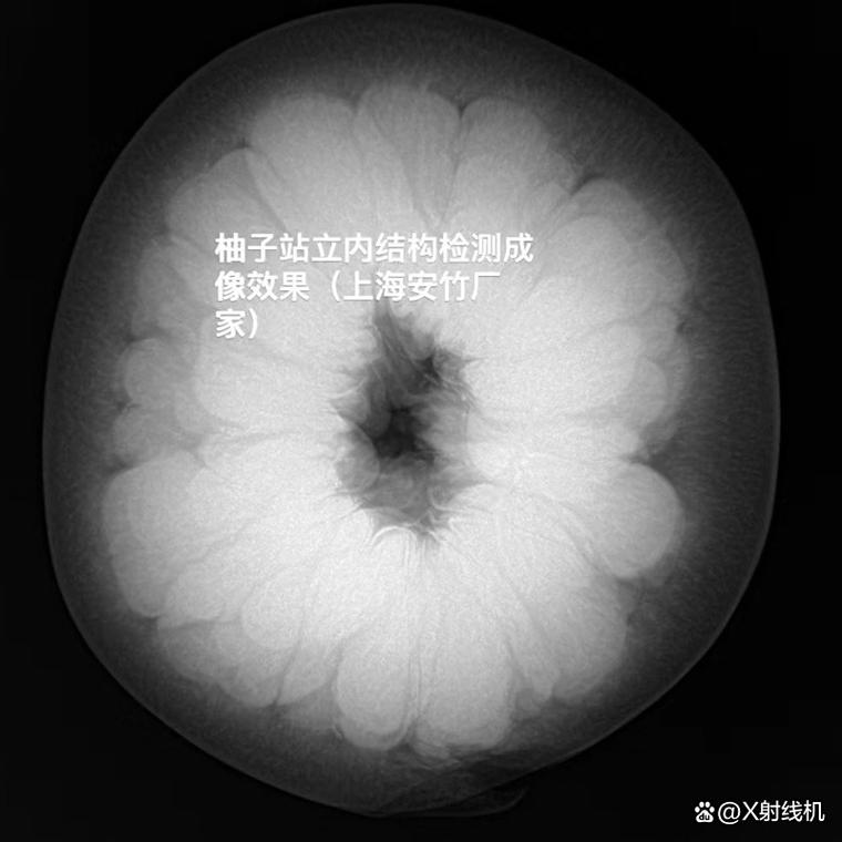 食物过X光机后还能安全食用吗?