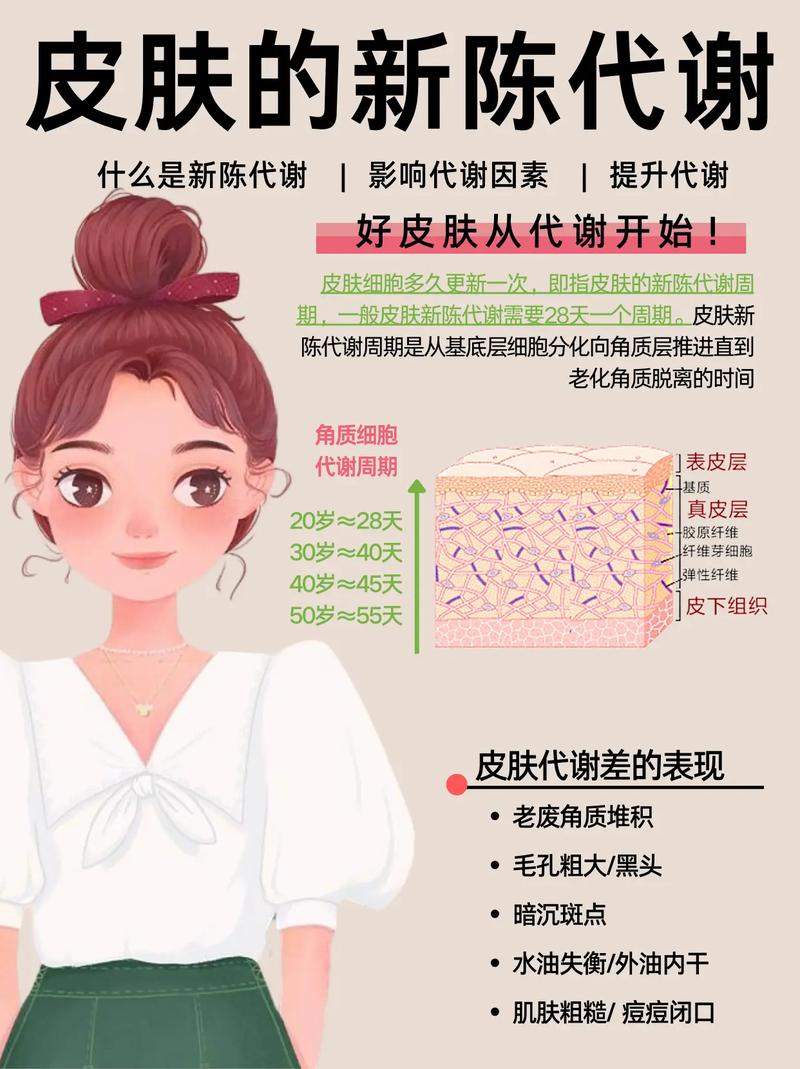 皮肤新陈代谢快,脸上会有哪些表现?