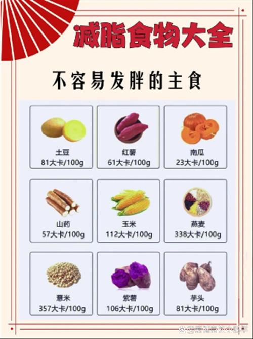 耐饿不发胖的食物真的存在吗?