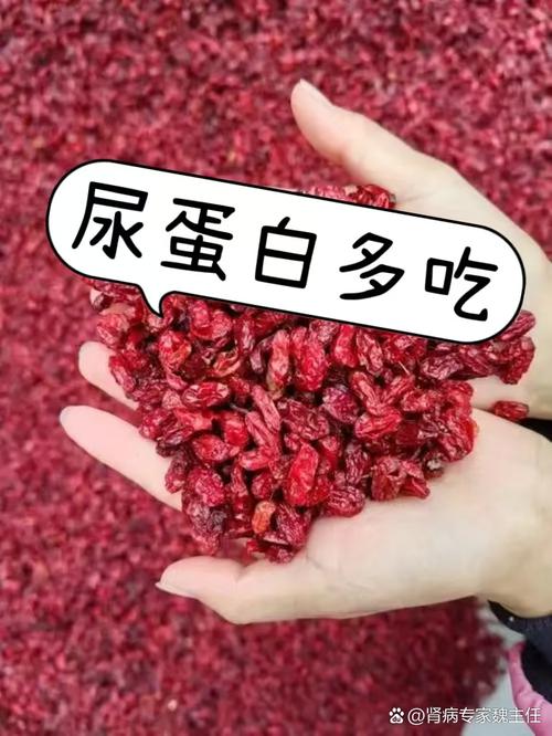 蛋白尿患者哪些食物碰不得?