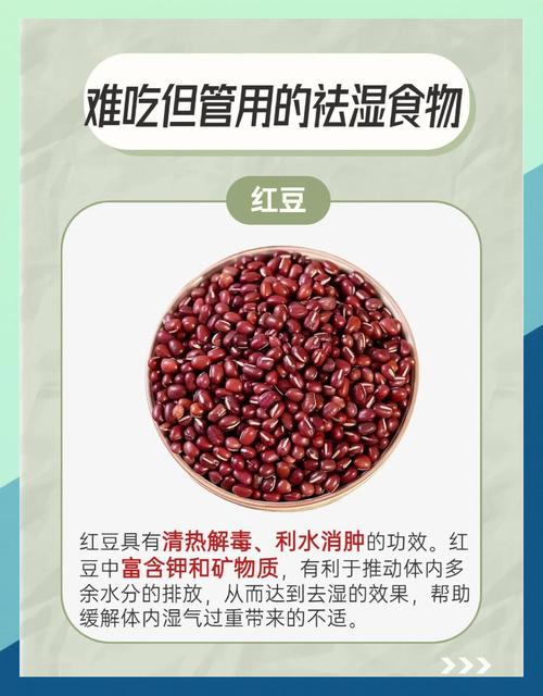 吃什么食物能化解体内湿气?