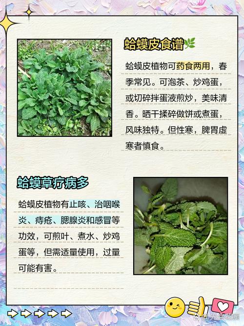 青蛙皮肤仅是保护屏障吗？