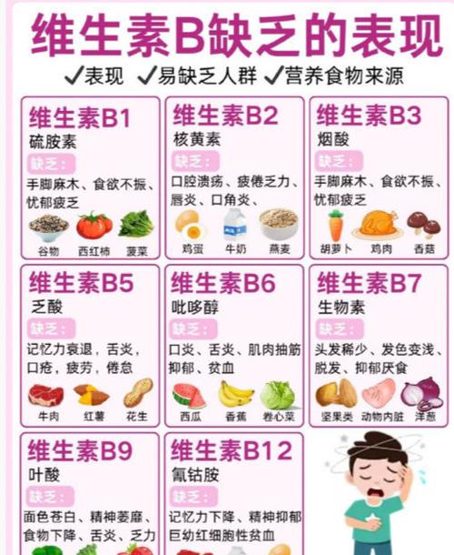 B族维生素食物有哪些?
