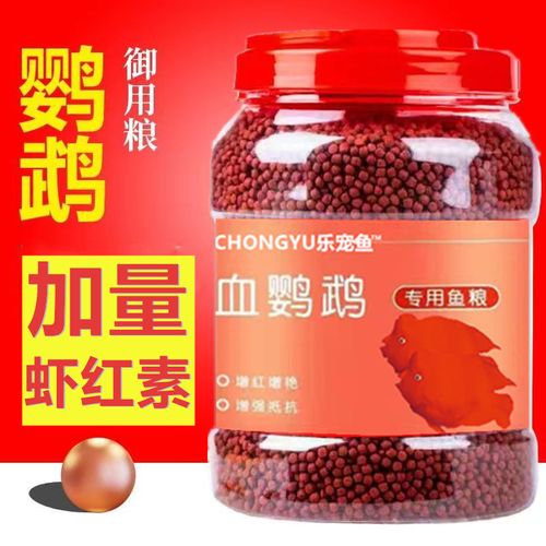 发财鱼多久喂一次食物合适?