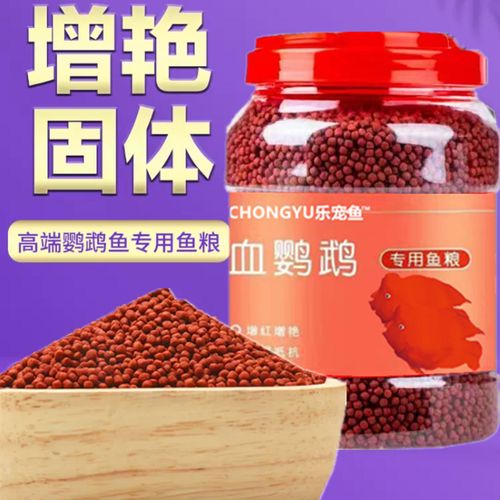 发财鱼多久喂一次食物合适?