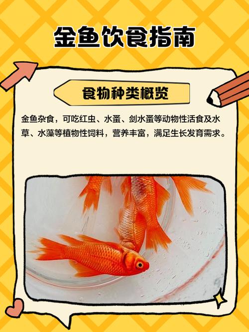 发财鱼多久喂一次食物合适？